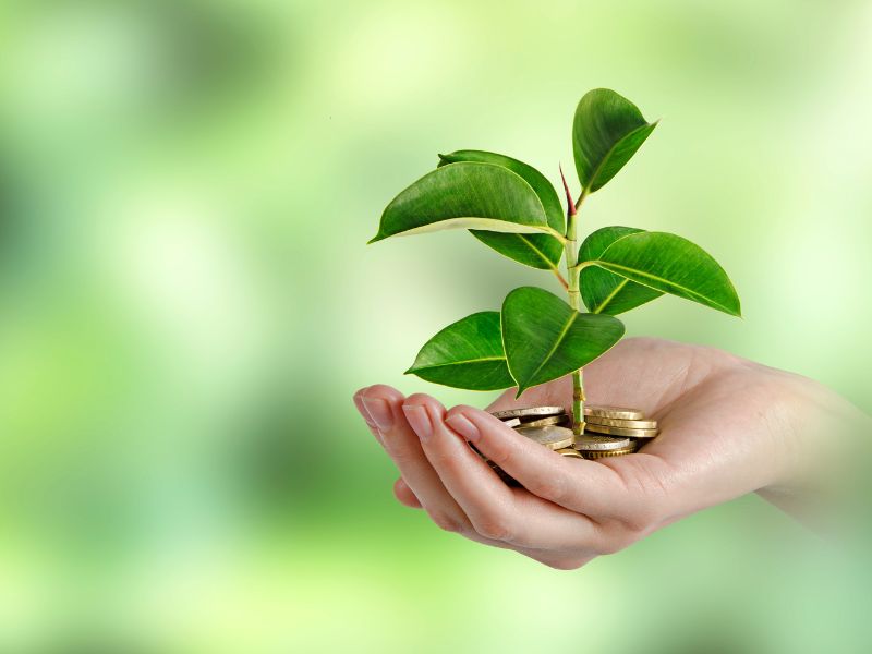 como começar a investir do zero