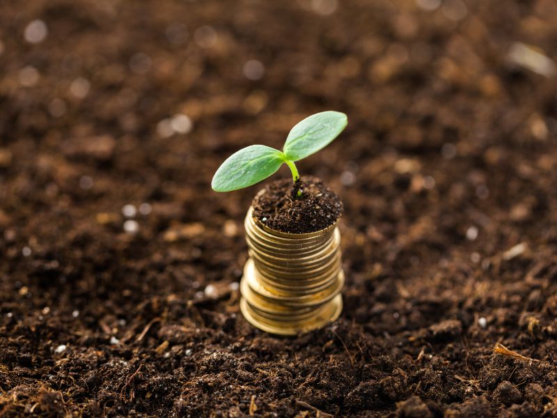 investimento seguro características