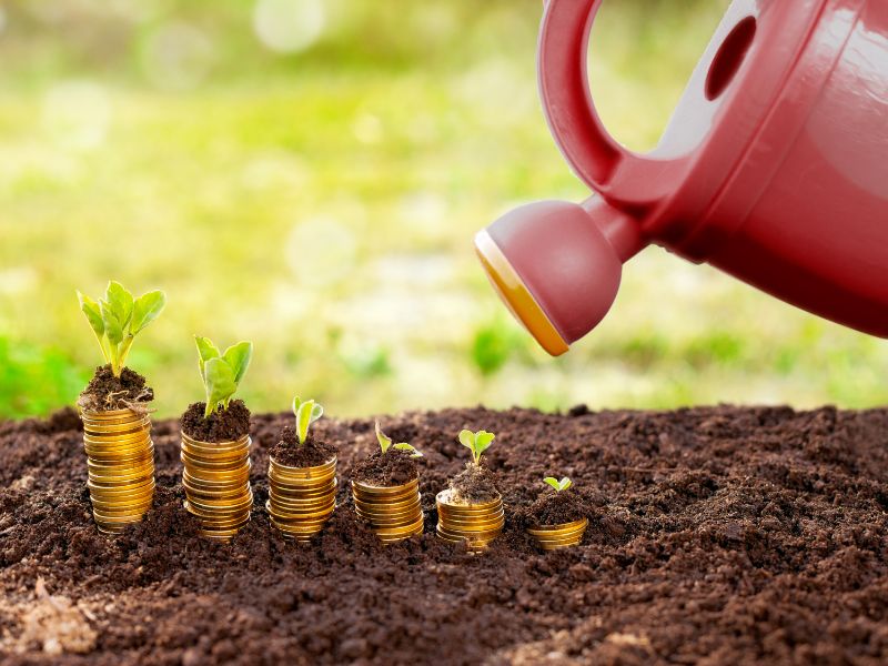 investir no Tesouro Direto é seguro governo