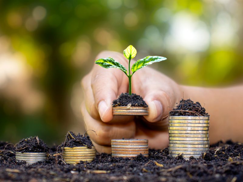 como se organizar financeiramente sistema